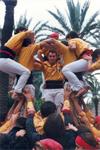 Festes populars Sant Antoni 2000