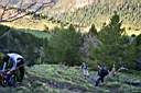 Ascendiendo por el bosque