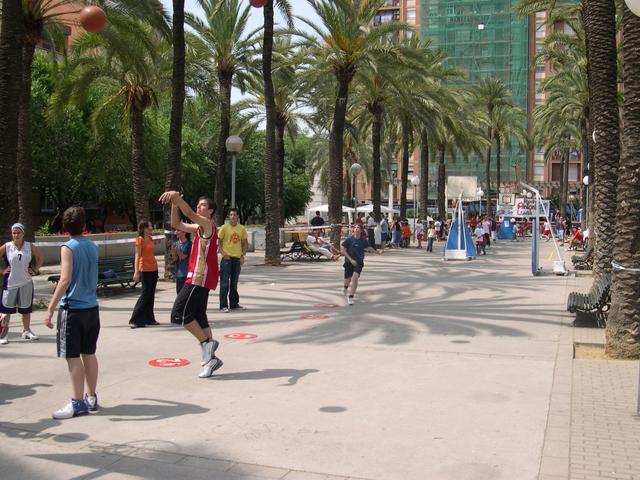 Torneig de basquet