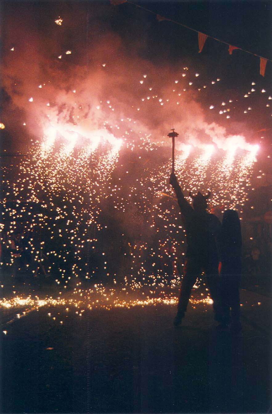 Festes populars Sant Antoni 2000