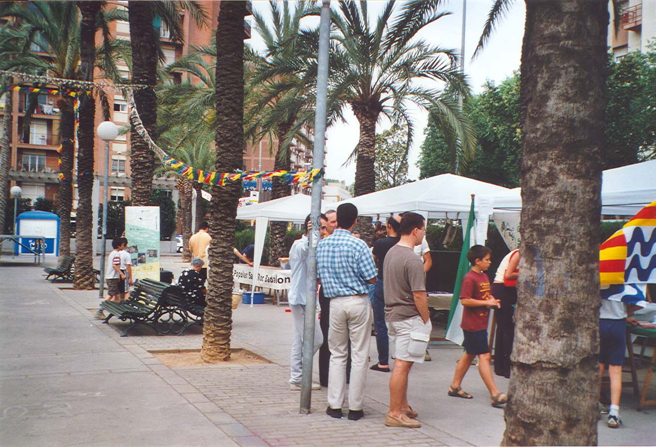 Festes populars Sant Antoni 2001