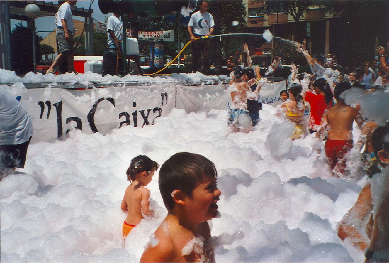 Festes populars Sant Antoni 2001