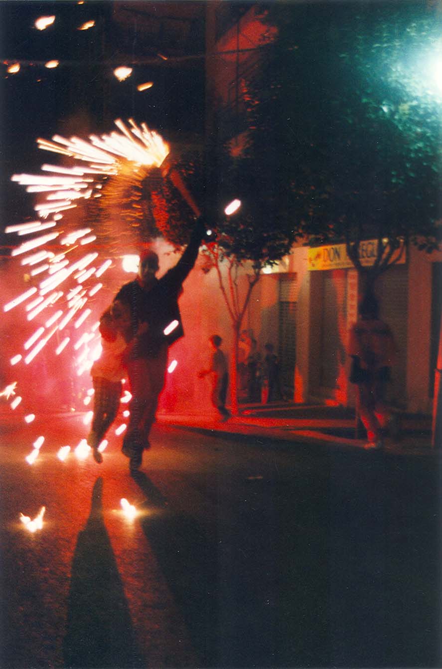 Festes populars Sant Antoni 2000