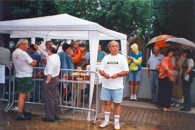 Festes populars Sant Antoni 2001