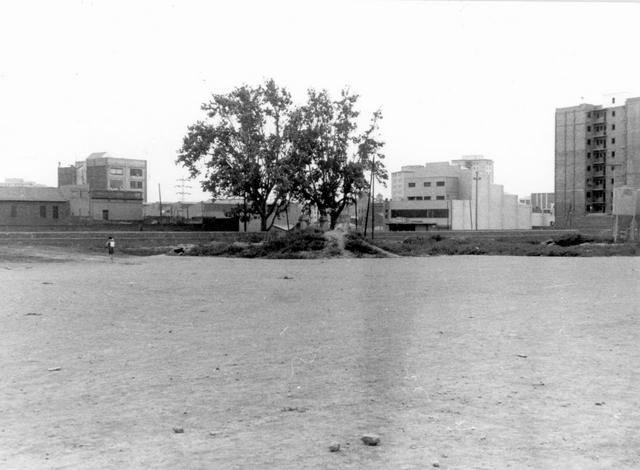 1969 Terrenys on hi havia Torre Hospital