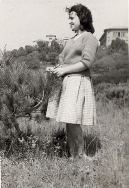 1959. Camp de blat. Fons: Genís Rosa Martínez